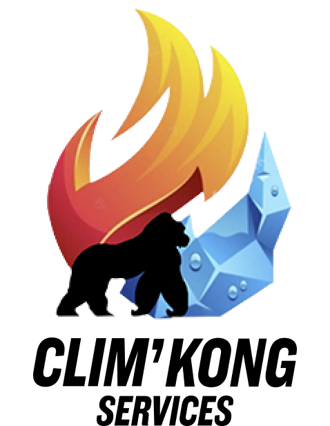Logo Clim'Kong